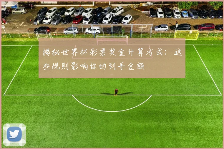 揭秘世界杯彩票奖金计算方式：这些规则影响你的到手金额
