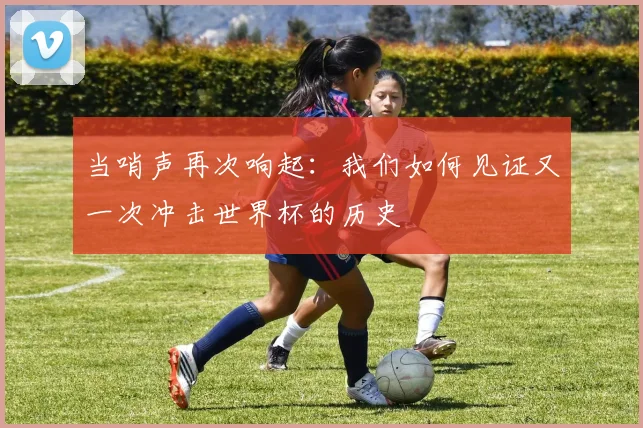 当哨声再次响起：我们如何见证又一次冲击世界杯的历史