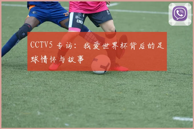 CCTV5 专访：我爱世界杯背后的足球情怀与故事