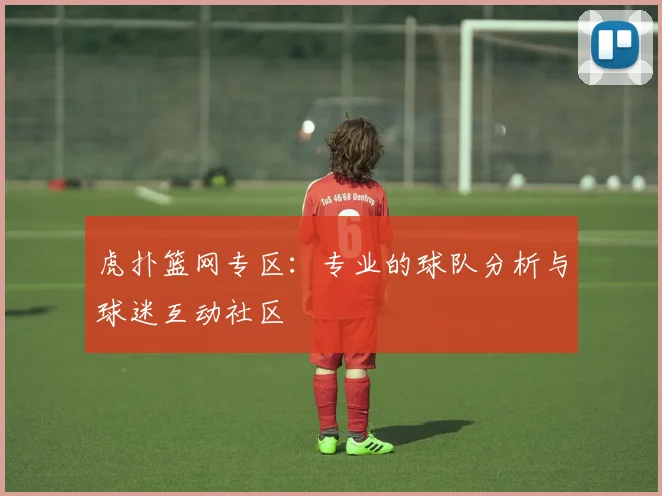虎扑篮网专区：专业的球队分析与球迷互动社区