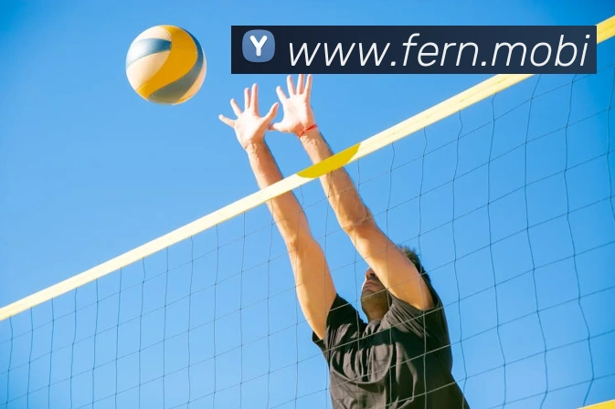 开云官方体育app官网APP 封面图